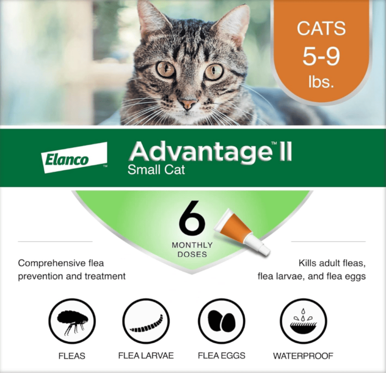 A closer look at Effective Flea Prevention For Multi Cat Households